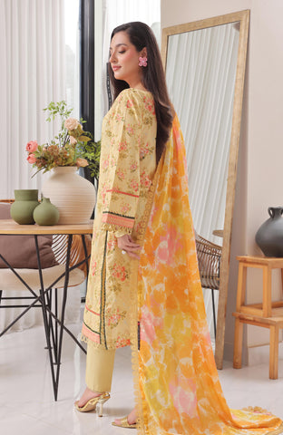 Colors Digital Printed 3 Piece-CDP-8-25-01