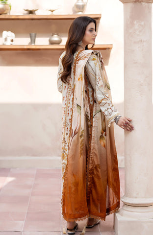 Colors Digital Printed 3 Piece-CDP-2-26-05