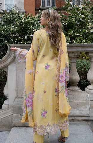 Sunshine Bloom Premium 3 Piece-SBE-2-26-06