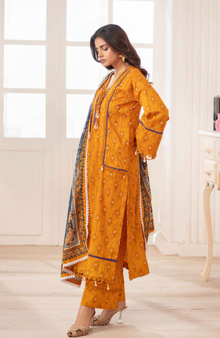 Colors Fancy Dupatta 3 Piece-CFD-25-07