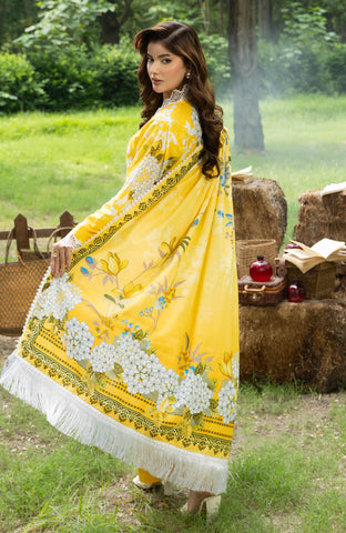 Colors Digital Printed Khaddar Edit 3 Piece-CDK-26-07