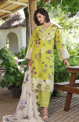 Sunshine Bloom Premium 3 Piece-SBE-25-09
