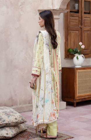 Colors Digital Printed 3 Piece-CDP-2-26-09