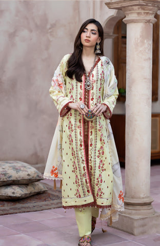 Colors Digital Printed 3 Piece-CDP-2-26-09